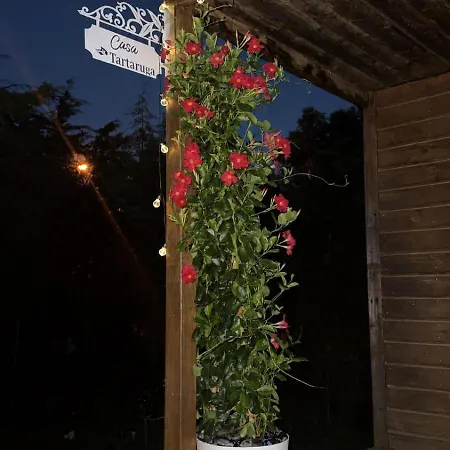 Casa Tartaruga - Nature Appartement Estômbar